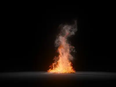 3D Fire Animation  3D model