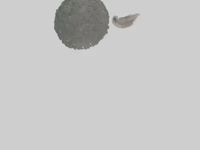 Koala Tail Low-poly 3D model