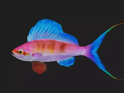 Serranidae Low-poly 3D model order