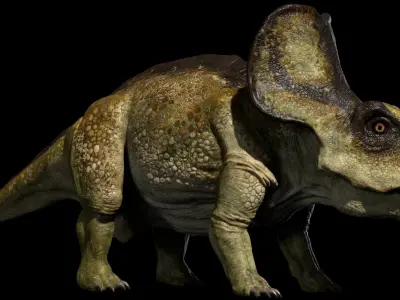 Protoceratops 3D (Rigged) 3D model