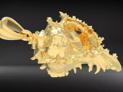 Shell Pendant Cabrits Murex Pendant  necklace charm jewelry 3D print model