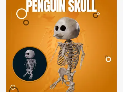 Penguin Skull Low-poly 3D model purchase