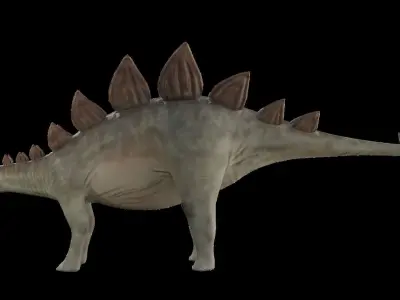 Stegosaurus Low-poly 3D model buy
