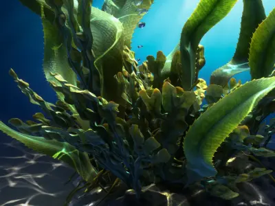 Seaweed Animated 3D model