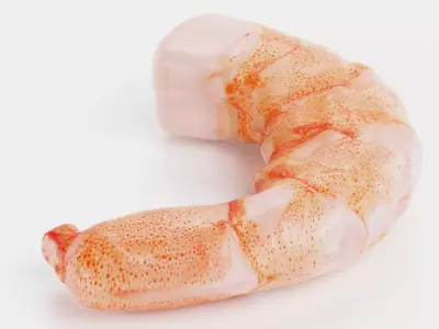Shrimp Bite - Realistic Cooked Seafood Piece 3D model