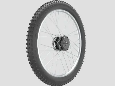 Bicycle Rear Wheel 3D model