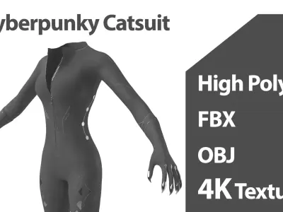 Cyberpunk Catsuit 3D Model 3D model