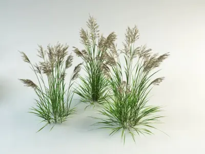  grass collection_1 