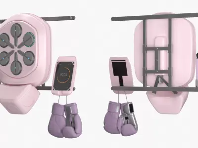 Wall Boxing Trainer Set with Gloves and Water Bottle Pink 3D model