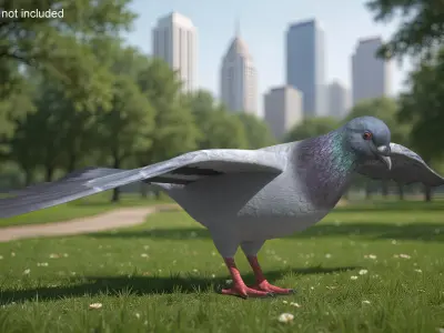  Low Poly Rock Dove Rigged for Cinema 4D 