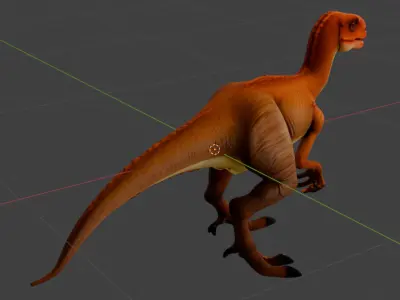 Velociraptor 3D Model 3D model