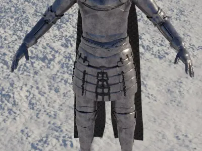 Knight armored man in snow 3D model