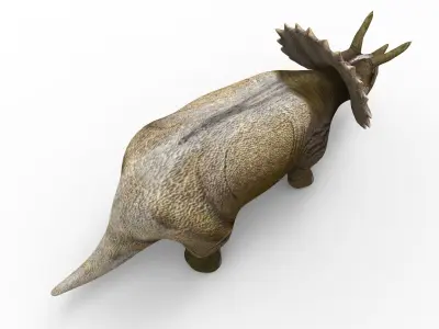 3D Triceratops dinosaur low poly  Low-poly 3D model