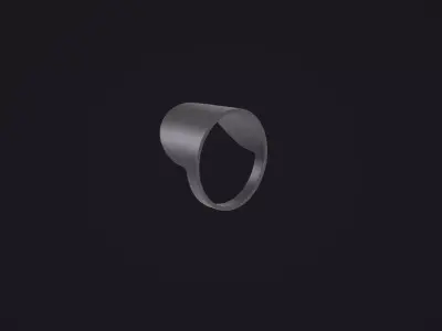 Glare Shield 3D model