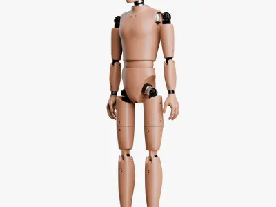Crash Test Male Female and Child Dummy 3D model
