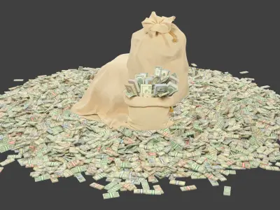  Money Bags Collection V40 