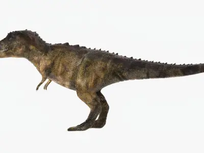 Tyrannosaurus Rex Low-poly 3D model 11