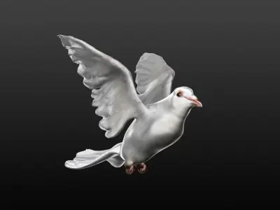 white dove 3D model purchase