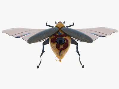 Souvenir of the May beetle 3D model