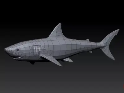 3D SHARK Low-poly 3D model