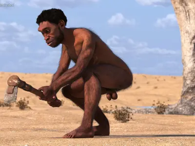  Cavemans Collection 