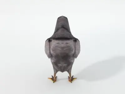 Black Little Chicken Low-poly 3D model