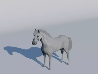 White Horse Low-poly 3D model