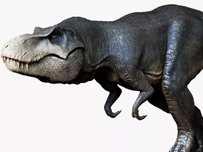 Dinosaur Tyrannosaurus Rex Stan Sculpt Project 3D model