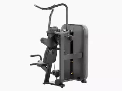 Technogym Artis Vertical Traction 3D model