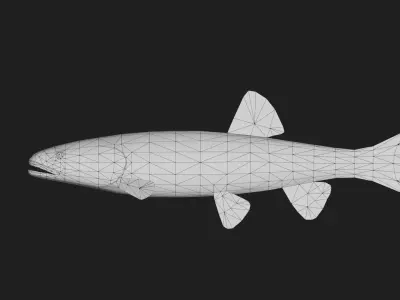 Carp fish Low-poly 3D model