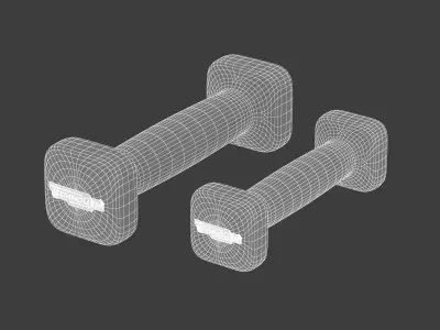 Technogym Accessories Bike Weights 3D model
