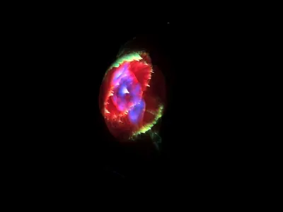 Cat Eye Nebula 3D model