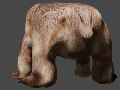 Bear With Textures 3D model