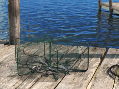Automatic Pop-Up Fishing Trap and Captured Fish 3D model