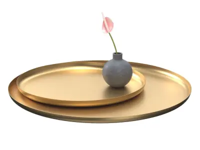 Oversized Antique Brass Metal Trays PBR 3D model