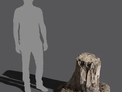  Medium Burned Cut Deciduous Stump Model 