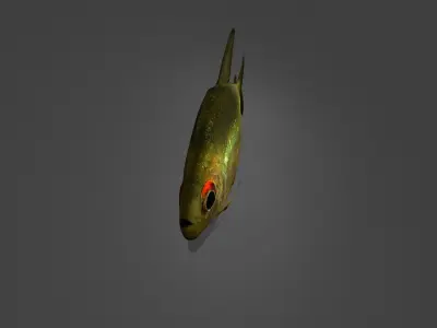 Zitronensalmler fish Low-poly 3D model
