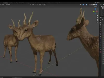 Central Asian wild animal Saiga antelope 3D model