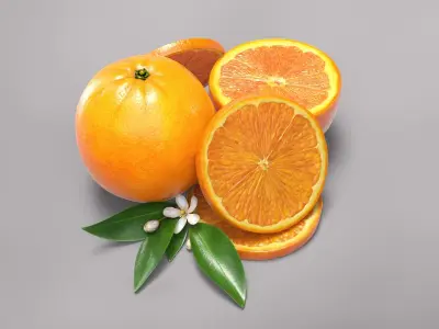 Oranges 3D model