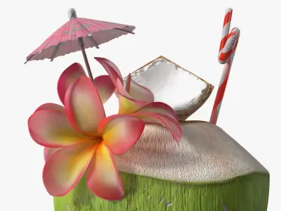Tropical Coconut Beverage with Flowers and Umbrella 3D model