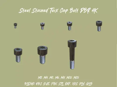 Collection of Steel Stained Torx Cap Bolts 3D Model Pack