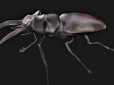 Stag Beetle Rigged Low-poly 3D model