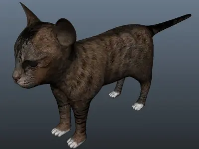 Kitten Model cat Low-poly 3D model