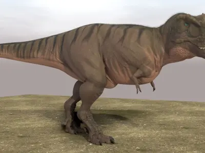 Tyrannosaurus Rex Fully Rigged 3D model