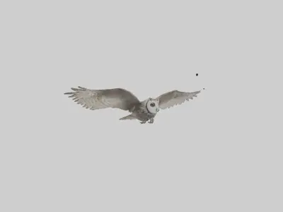 LongEared Owl flying model Low-poly 3D model