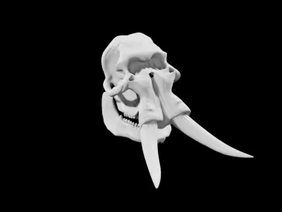 Elephant skull Low-poly 3D model