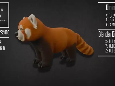Realistic Red Panda Model 3D model