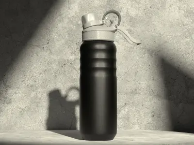 Sports Shaker 3D model purchase