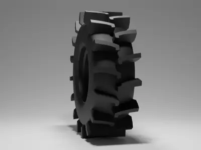 Paddy Tire and Rim 1 3D model
