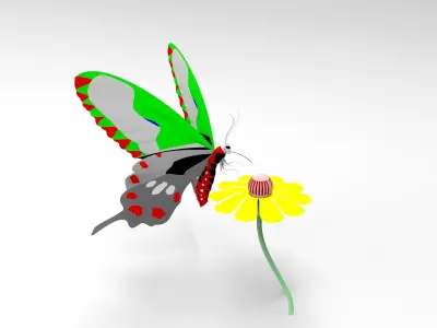Butterfly 3D model 6